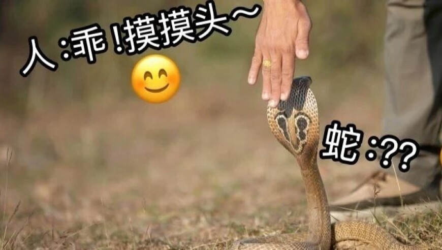 315记者为调查取证吃到吐,新澳门开奖直播最新平台,国产化作答解释落实_基础版V9.21